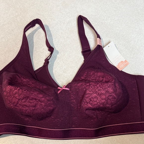 Cacique Other - NWT Cacique Lace Bra in Rich Burgundy and Pink 42DDD